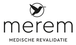Logotipo Merem